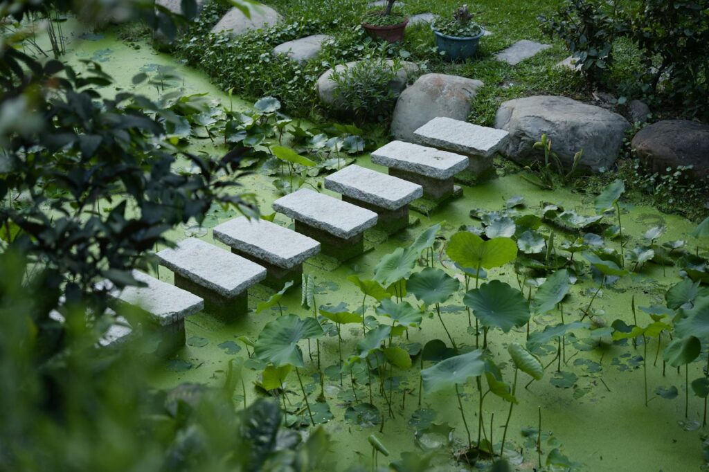 Tranquil garden scene with stone steps over a pond in Hsinchu City, Taiwan, surrounded by lush greenery.