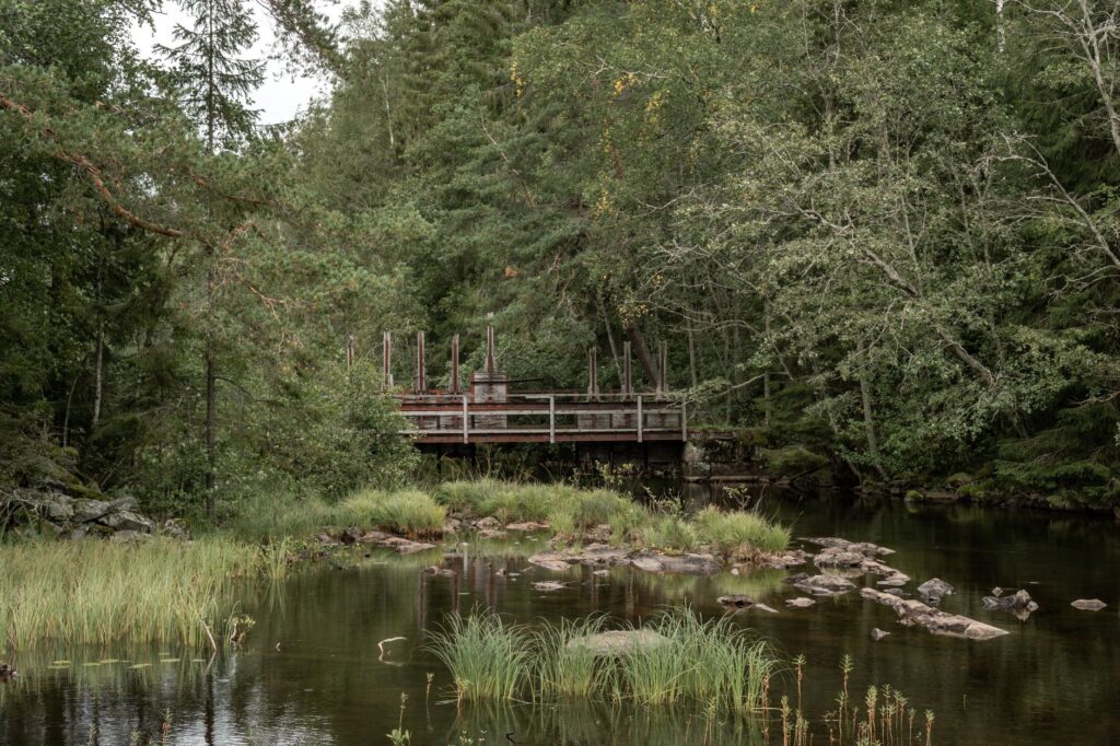 A tranquil scene of a wooden bridge over a river surrounded by lush greenery in a forest.
